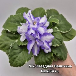 Nik-Звездная Величина